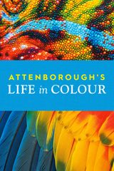 Key visual of Attenborough's Life in Colour 1