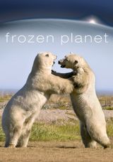 Key visual of Frozen Planet 1