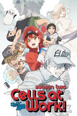 Key visual of Cells at Work! 2