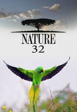 Key visual of Nature 32