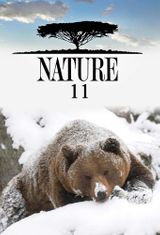Key visual of Nature 11