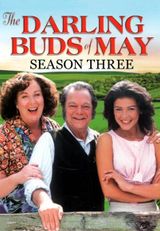 Key visual of The Darling Buds of May 3