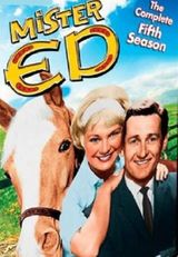 Key visual of Mister Ed 5