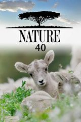 Key visual of Nature 40