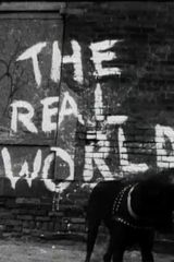 Key visual of The Real World 1