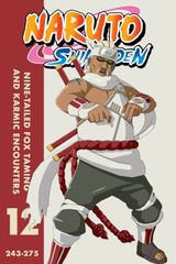 Key visual of Naruto Shippūden 12