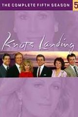 Key visual of Knots Landing 5