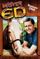 Key visual of Mister Ed 1