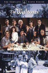 Key visual of The Waltons 6