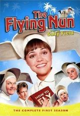 Key visual of The Flying Nun 1
