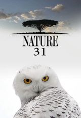 Key visual of Nature 31