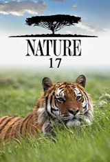 Key visual of Nature 17