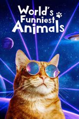 Key visual of World's Funniest Animals 2