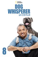 Key visual of Dog Whisperer 8