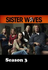 Key visual of Sister Wives 3