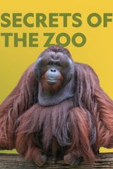 Key visual of Secrets of the Zoo 3