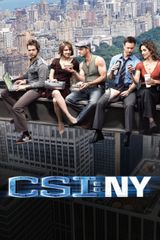 Key visual of CSI: NY 1