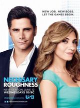 Key visual of Necessary Roughness 3