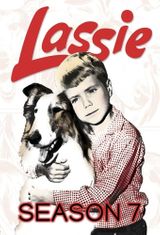 Key visual of Lassie 7