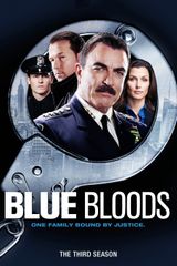Key visual of Blue Bloods 3