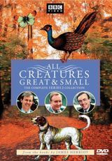 Key visual of All Creatures Great and Small 2