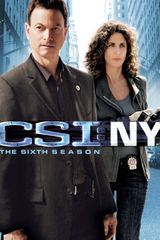 Key visual of CSI: NY 6