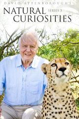 Key visual of David Attenborough's Natural Curiosities 3