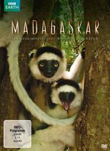 Key visual of Madagascar 1